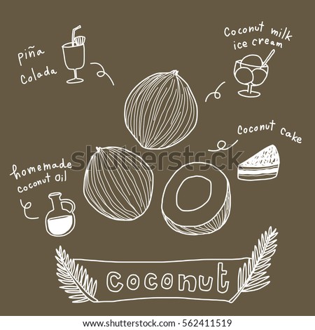 Coconuts with various coconut dish ideas and benefits such as pina colada cocktail, coconut cake, coconut milk ice cream, handmade coconut oil. Vector illustration with doodle style.