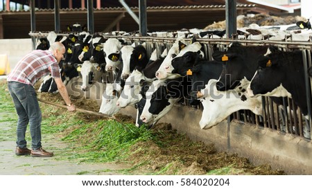 Feeding mature cattle Petting the mature neighbors pussy stories