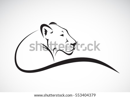 Vector of a lion female on white background, Wild Animals.