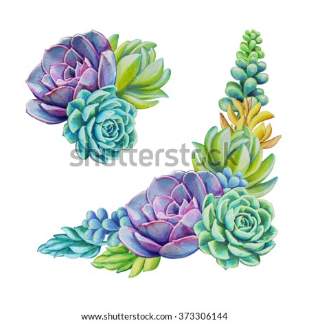 Watercolor Succulent Plants Composition Set Floral Stock ...