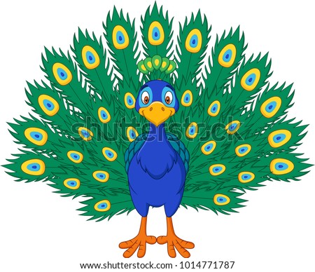 Cartoon Beautiful Peacock Stock Vector 1014771787 - Shutterstock