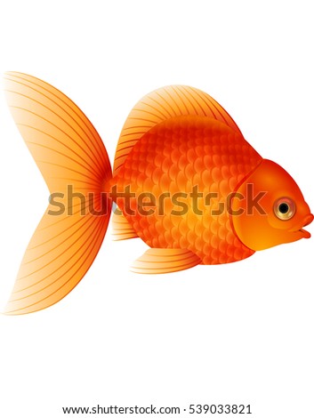 Cartoon goldfish isolated on white background