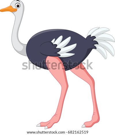 Ostrich Cartoon Stock Images, Royalty-Free Images & Vectors | Shutterstock