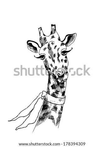  Giraffe Sketch Stock Images Royalty-Free Images Vectors 