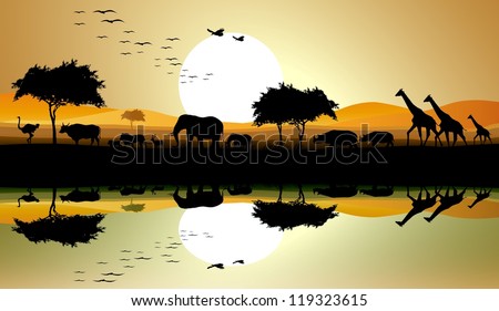 beauty silhouette of safari animal