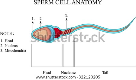 from Zachary free porn for cells into the blue naked