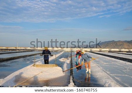 NINHTHUAN, VIETNAM, MAY 03: Three farmers work in salt field on May 03, 2013 in Ninhthuan, Vietnam. Ninhthuan is central province in Vietnam