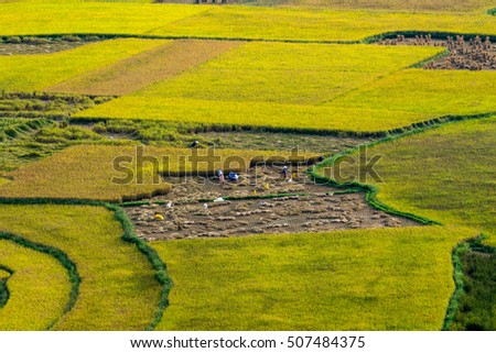 Rice field in Cao Bang province, Vietnam