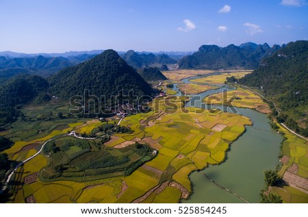 River and rice field from drone in Cao Bang province, Vietnam
