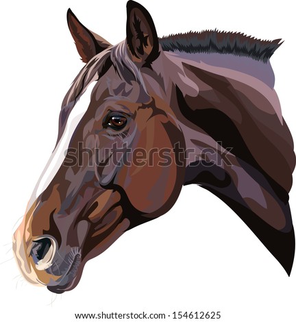 Brown Horse Head Stock Vectors & Vector Clip Art | Shutterstock