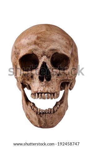 frontview human skull open mouth on stock photo 192458747 frontview human skull open mouth on stock photo 192458747
