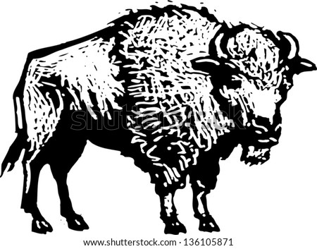 White buffalo Stock Photos, Images, & Pictures | Shutterstock