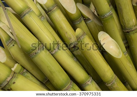 Stalks of sugarcane prepared for producing juice