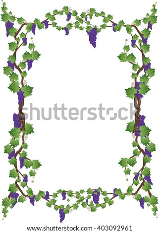 Decorative Grapes Border Stock Vector 86097991 - Shutterstock