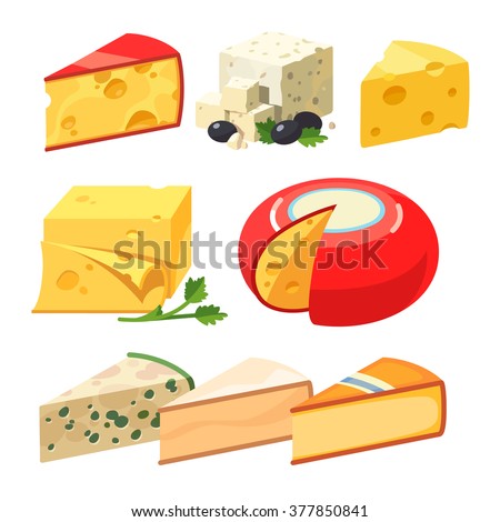 Cheese types. Modern flat style realistic vector illustration icons isolated on white background.