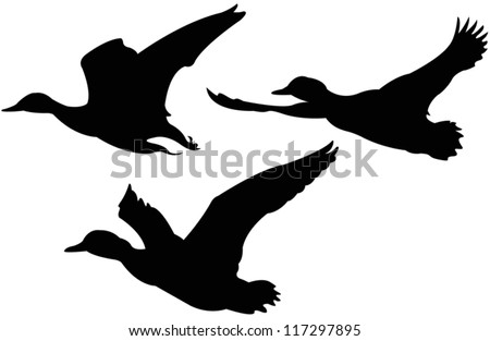 Duck Silhouette Stock Images, Royalty-Free Images & Vectors | Shutterstock