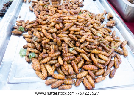 Larva Stock Images, Royalty-Free Images & Vectors | Shutterstock