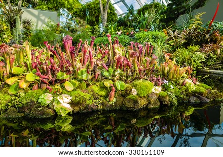 Garden By The Bay August 2014 singapore august 2 display flower dome stock photo 217300144 Garden By The Bay August 2014 singapore august 2 display flower dome stock photo 217300144