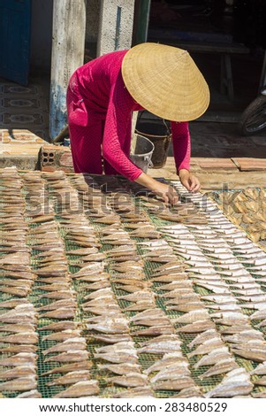 Long Son Village, Ba Ria - Vung Tau Province, Vietnam - 31 May 2015: A woman drying fish on the net