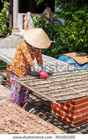 Long Son Village, Ba Ria - Vung Tau Province, Vietnam - 31 May 2015: A woman drying fish on the net