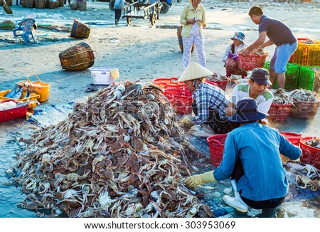LONG HAI, VIET NAM - MAY 31 2015: People's daily life at fishing village Long Hai, they collecting fresh fishes from boat and open up a market in the early morning