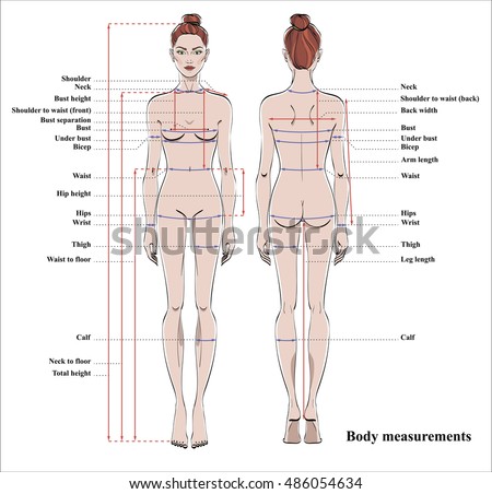 stock vector woman body measurement chart scheme for measurement human body for sewing clothes female figure 486054634