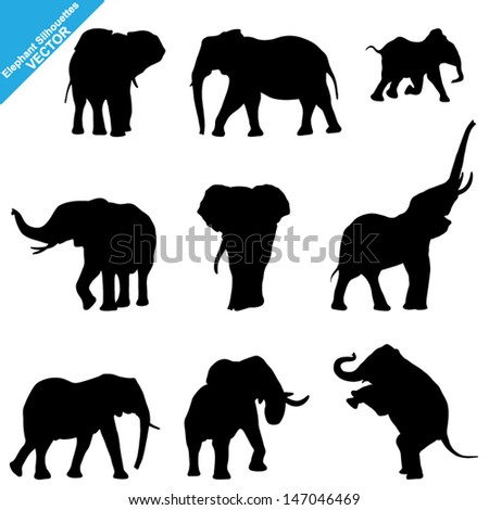Set of Elephant Silhouettes. Vector Illustration