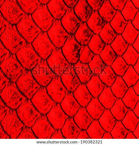 skin closeup stock images royalty free images vectors coiled snake stock images royalty free images vectors skin closeup stock images royalty free images vectors coiled snake stock images royalty free images vectors