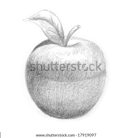 Lead Pencil Sketch Apple Stock Illustration 17919097 - Shutterstock