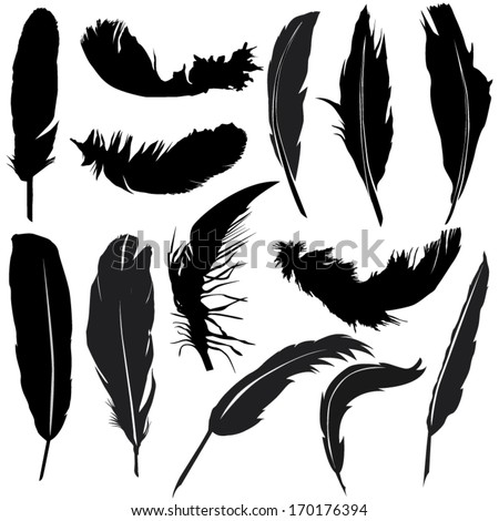 Feather Silhouette Set Stock Vector 170176394 - Shutterstock