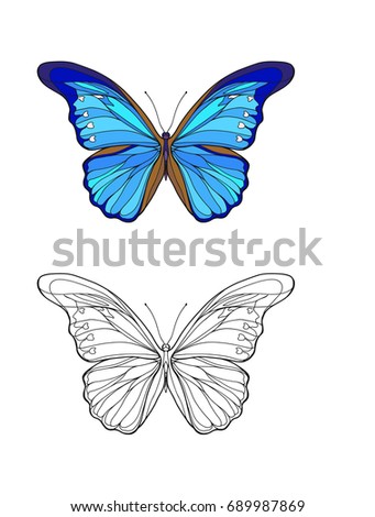 hand drawn butterfly zentangle style coloring stock vector