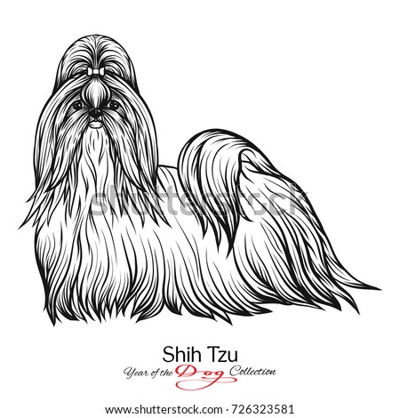 Cartoon Shih Tzu Stock Images, Royalty-Free Images & Vectors | Shutterstock