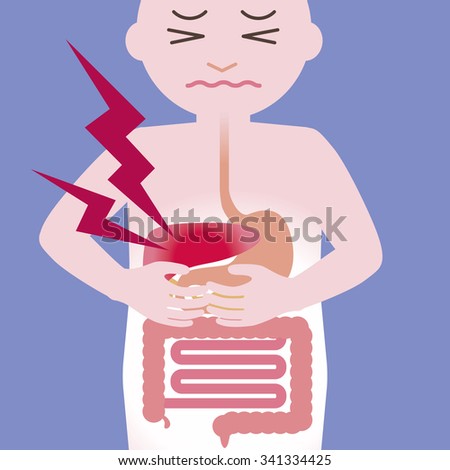 Human Digestive System Stock Images, Royalty-Free Images & Vectors