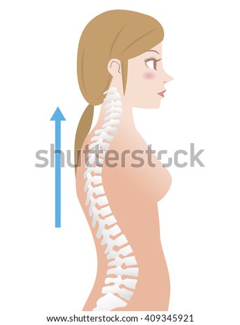 Backbone Stock Photos, Royalty-Free Images & Vectors - Shutterstock