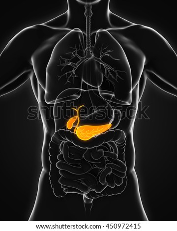 Pancreatic Cancer Stock Images, Royalty-Free Images & Vectors
