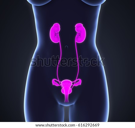 Uterine orgasm brain illusions Teenfucktoteen
