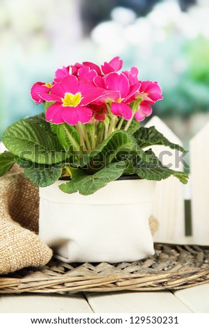 Decoration Dining Table Valentines Day White Stock Photo 46955389 ...