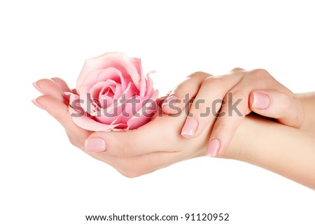 Pink rose with hands on white background