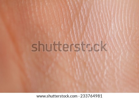 skin pores stock images royalty free images vectors skin pores stock images royalty free images vectors skin pores stock images royalty free images vectors skin pores stock images royalty free images vectors