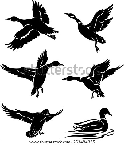 Duck hunting Stock Photos, Images, & Pictures | Shutterstock