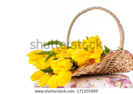 bouquet of tulips in a basket isolated on a white background, on March 8, International Women's Day, Mother's Day, Valentine's Day
