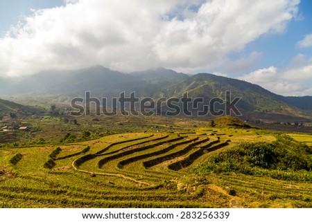 Landscape of Terraced Rice Field hill Sa Pa. Lao cai province Vietnam