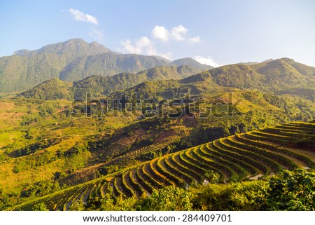 Landscape of Terraced Rice Field hill Sa Pa. Lao cai province northern Vietnam