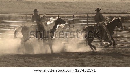 Cowboy Horse Stock Photos, Images, & Pictures | Shutterstock