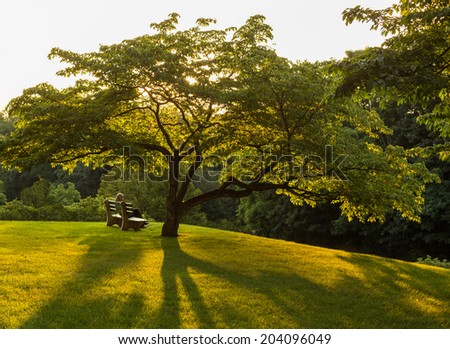 https://thumb7.shutterstock.com/display_pic_with_logo/138433/204096049/stock-photo-single-muslim-woman-speaking-on-mobile-phone-on-a-park-bench-or-seat-in-the-shade-of-a-flowering-204096049.jpg