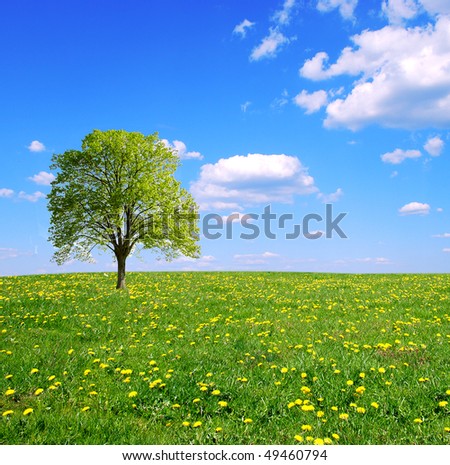lone tree big and beautiful singles Lone tree, co usa hometown: centennial member since: august 30, 2011 fun-loving intellectual & cultured singles (ages 35 to 55) member going places - doing things. lone tree big and beautiful singles Lone tree, co usa hometown: centennial member since: august 30, 2011 fun-loving intellectual & cultured singles (ages 35 to 55) member going places - doing things.