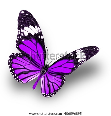 Purple Butterfly Stock Images, Royalty-Free Images & Vectors | Shutterstock