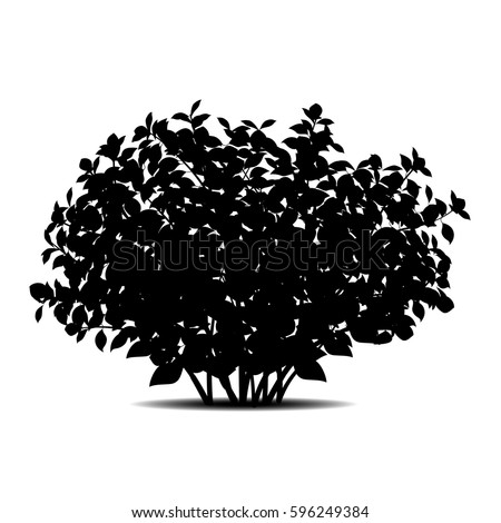 Silhouette Bush Leaves Shadow On White Stock Vector 596249384