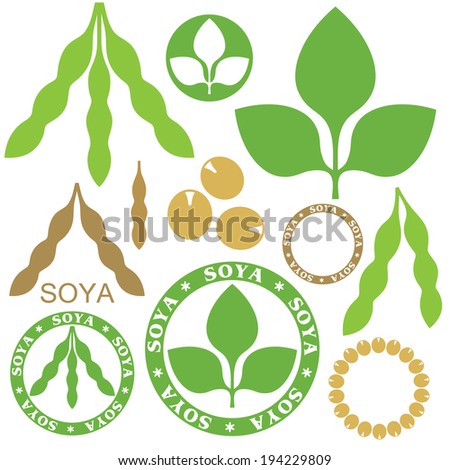 Soybean. Soy bean. Leaf