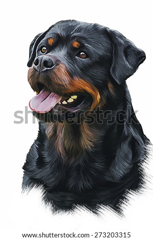 Rottweiler Stock Photos, Royalty-Free Images & Vectors - Shutterstock